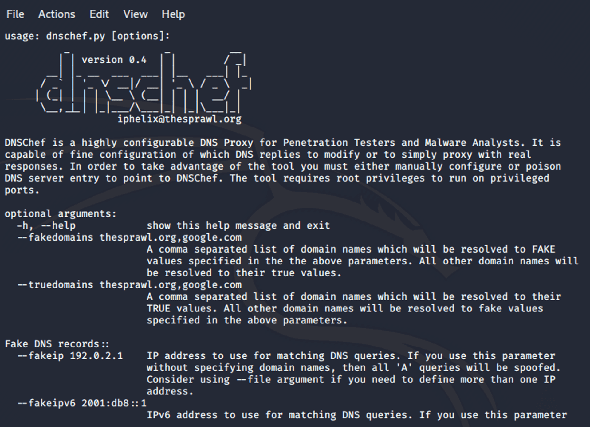 A sample FIGlet of the program dnschef