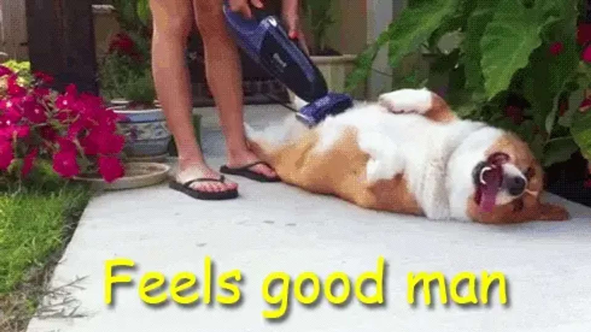 Feels good!